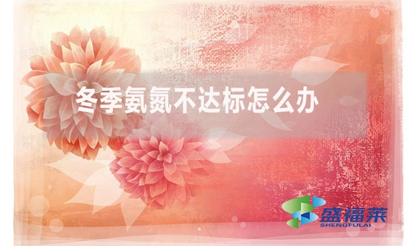 冬季氨氮不達標怎么辦？